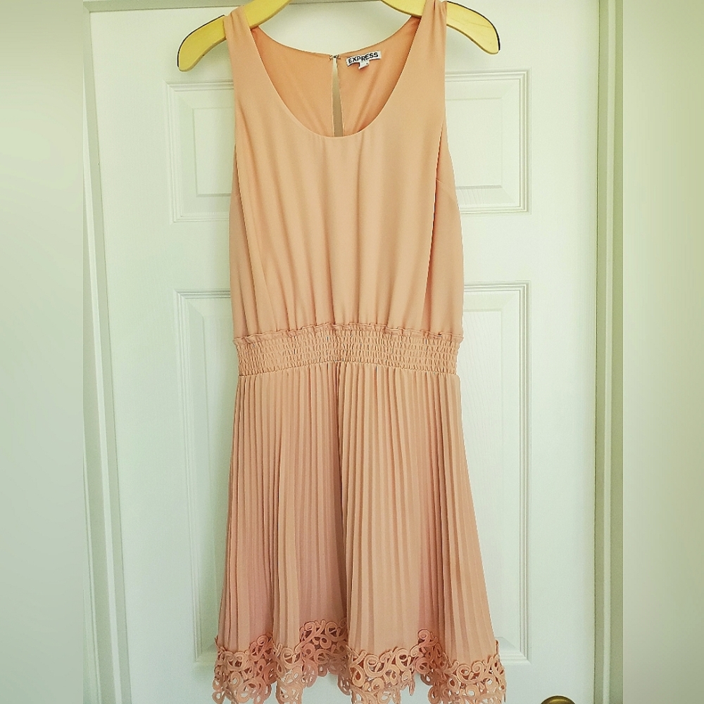 Express Light Pink/Blush Pleated Lace Dress